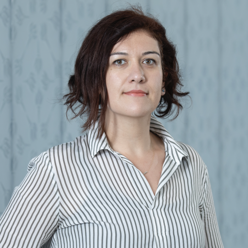 Asst. Prof. Didem Türkoğlu was elected to the ASA Section on Collective Behavior and Social Movements